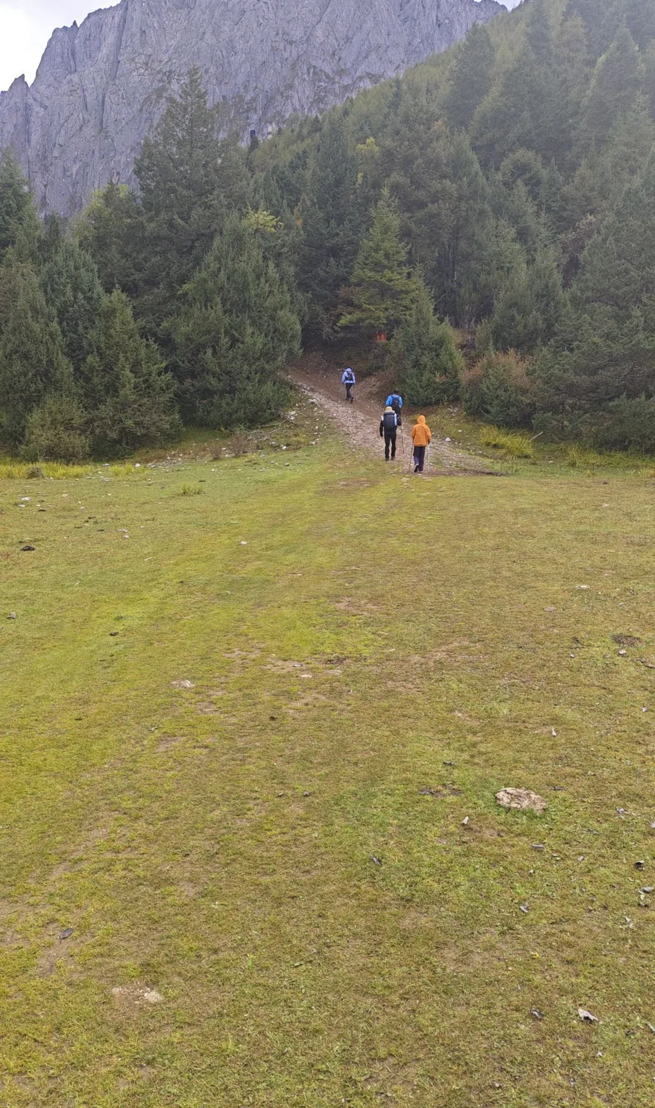 The path across the meadow