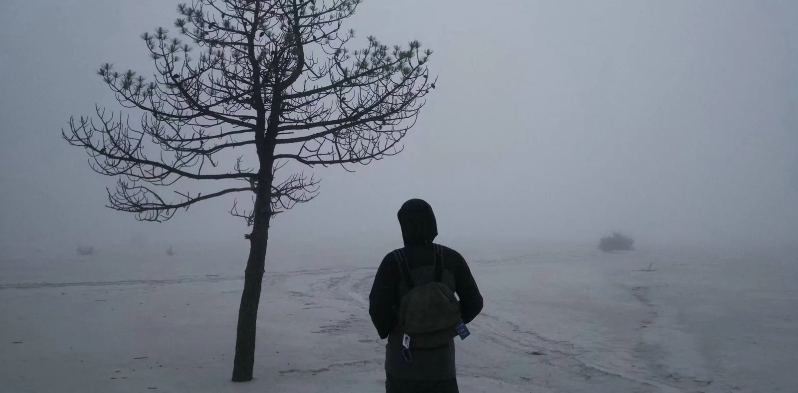 Milk lake at Winter