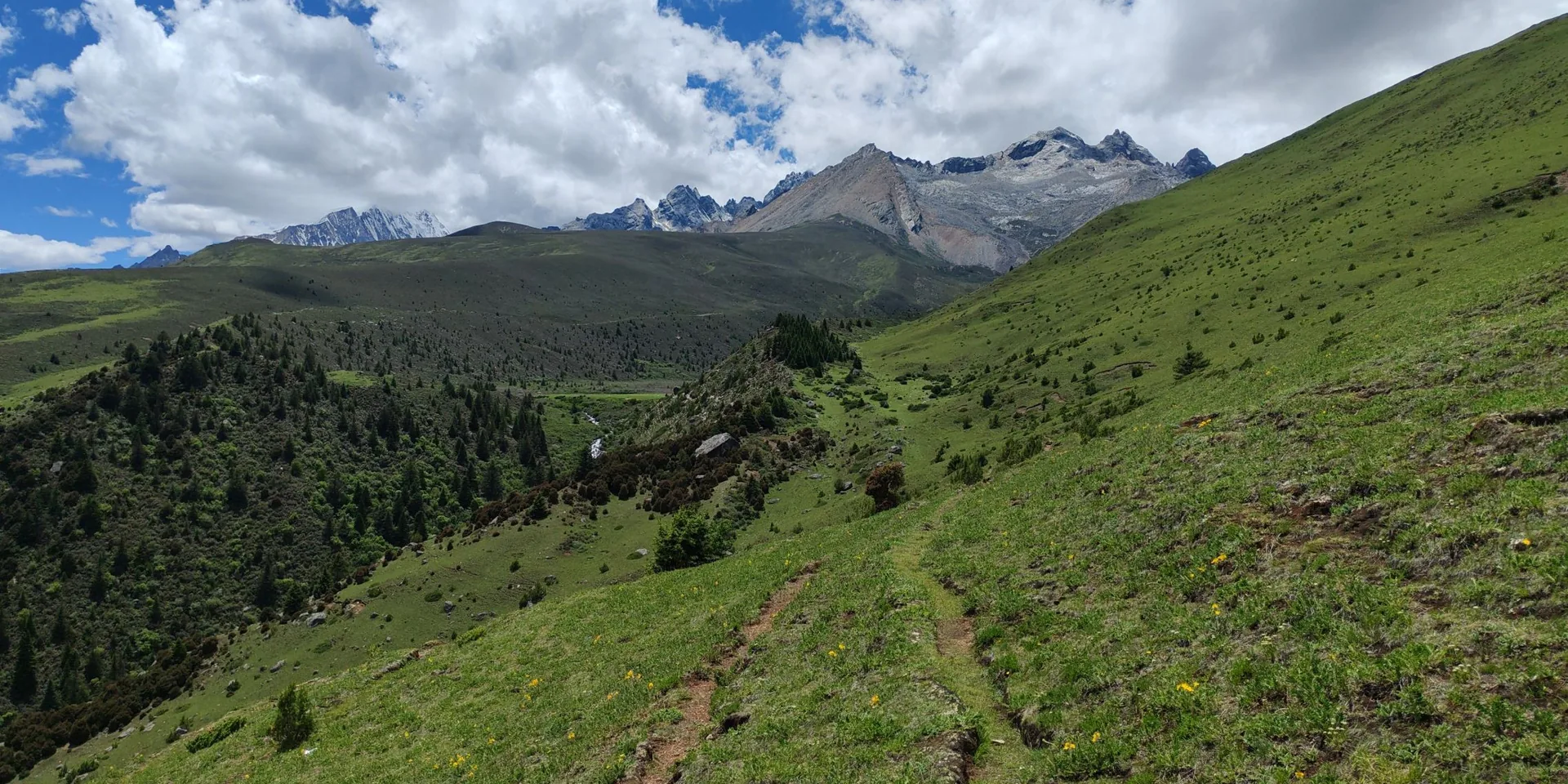 Genie Pasture Circuit