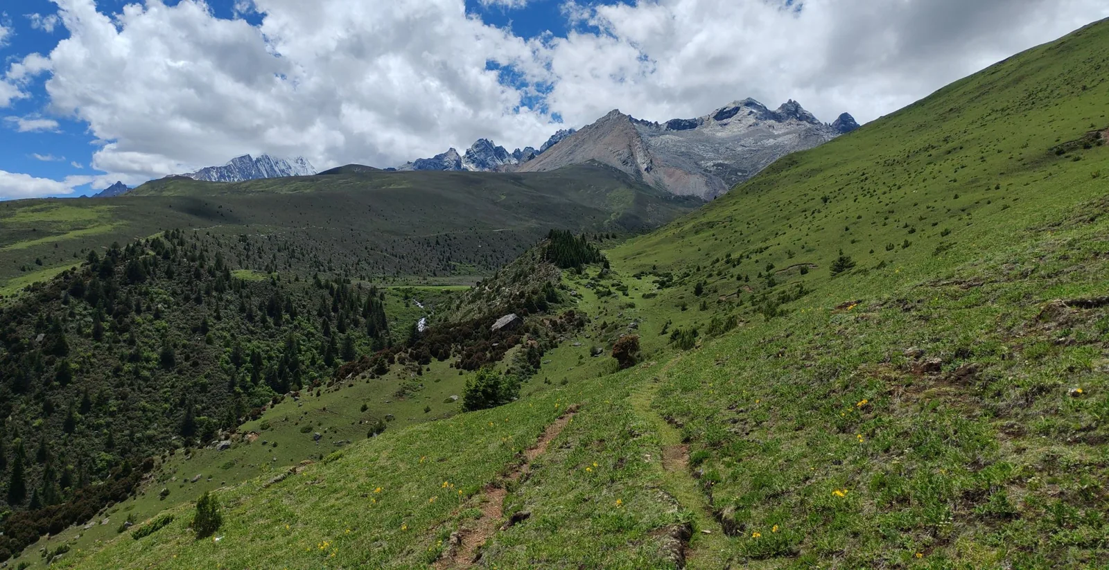 A path across the pasture