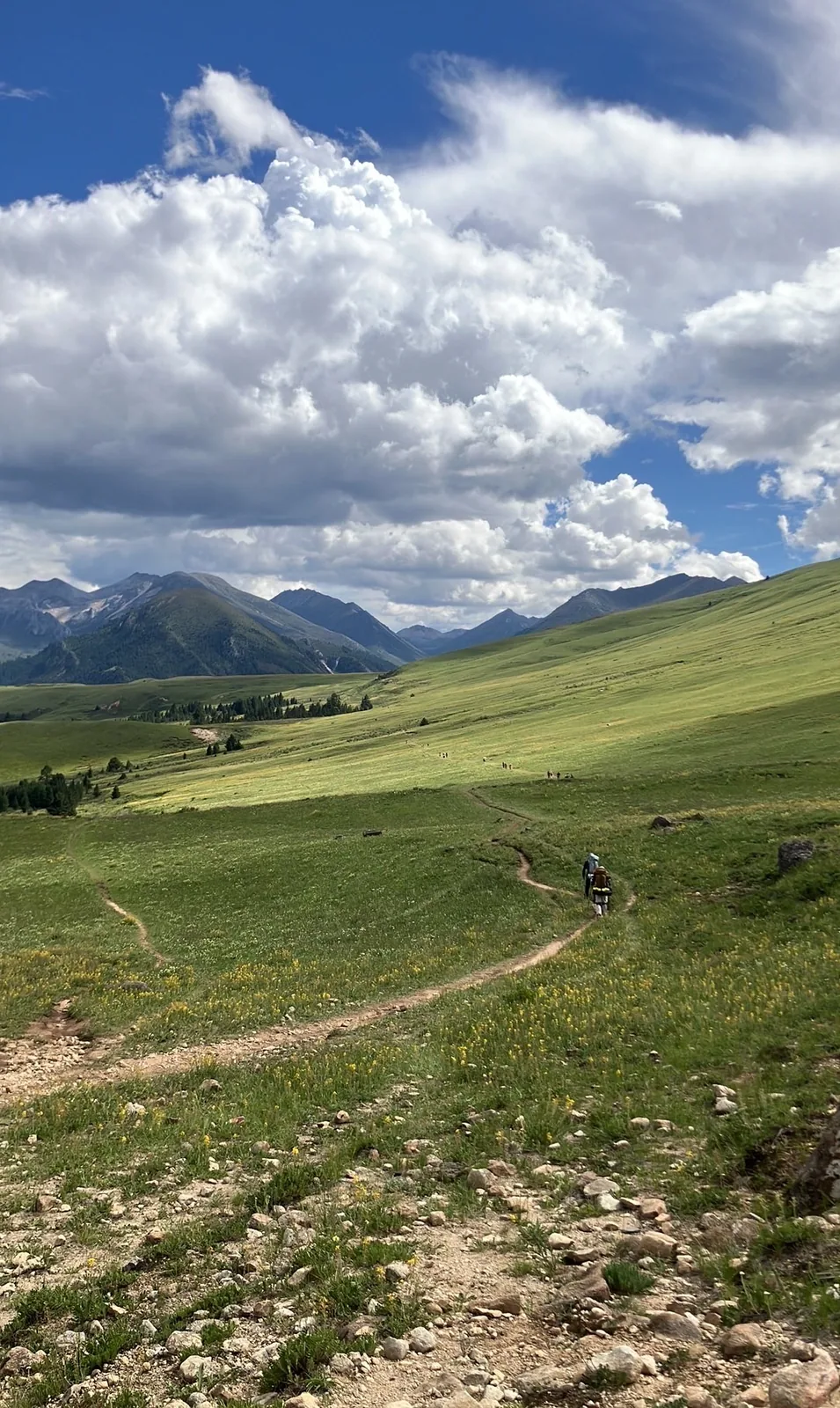 A meadow path under the range