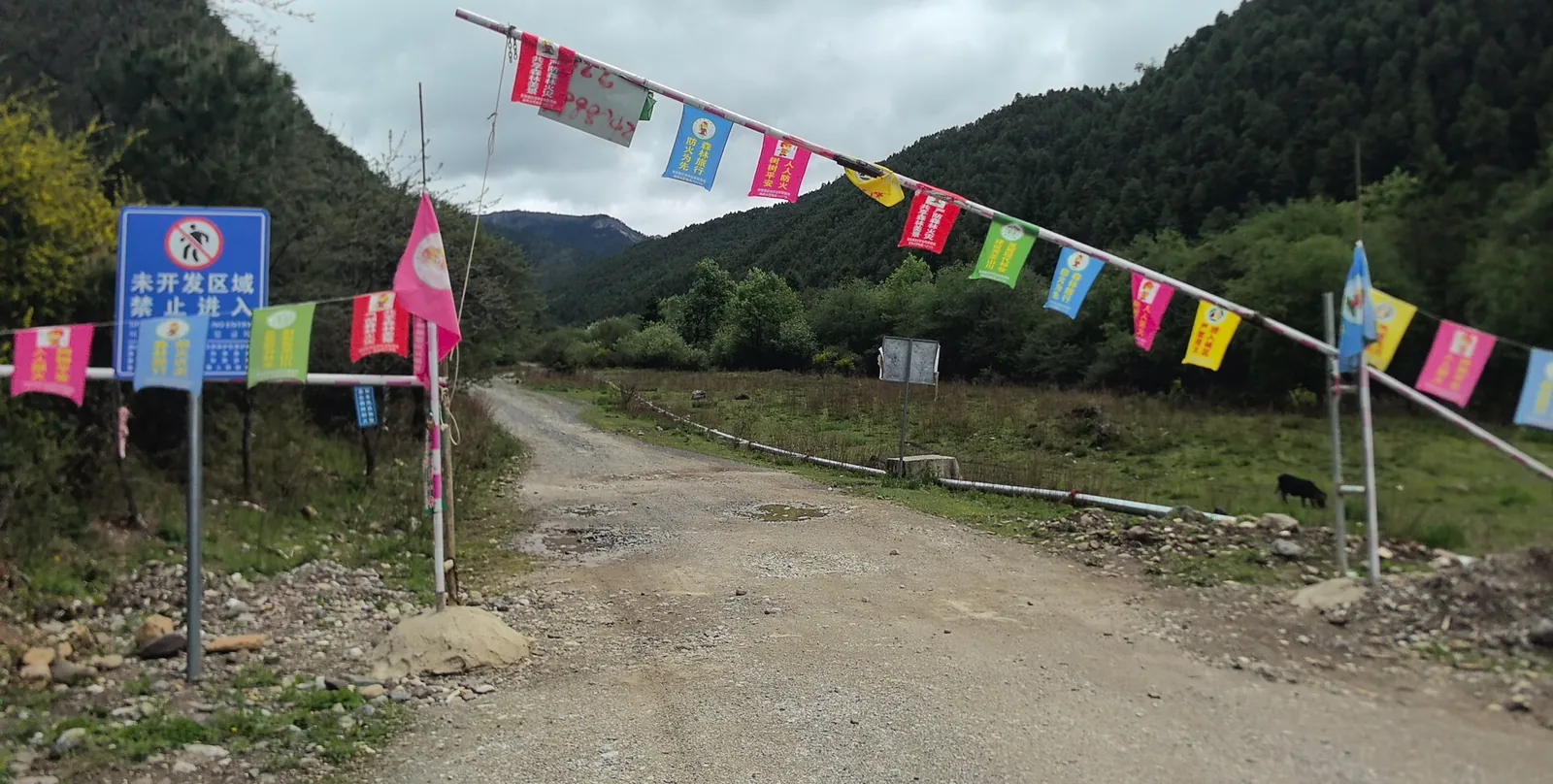 Prayer flags at the gate