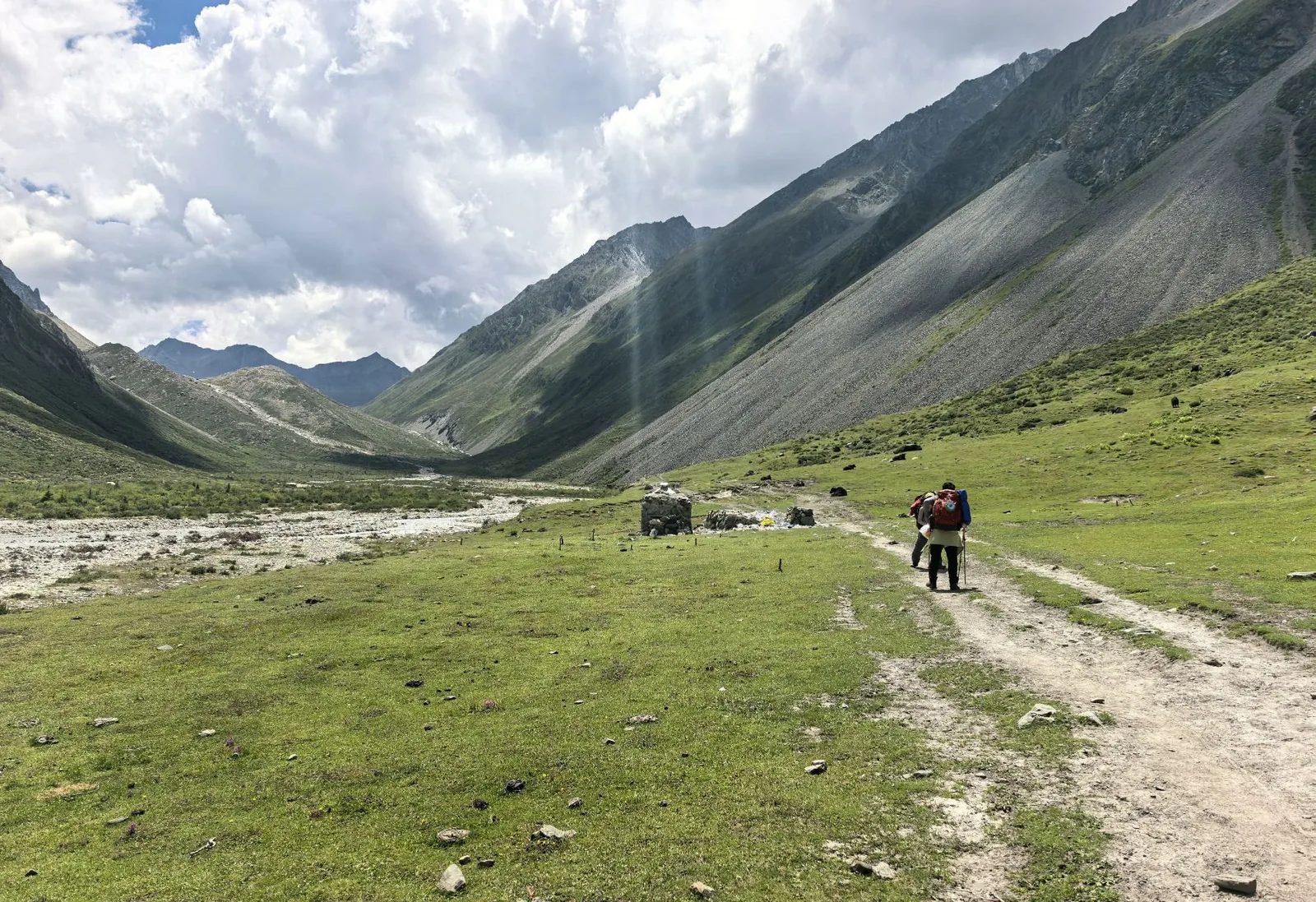 A path across the meadow