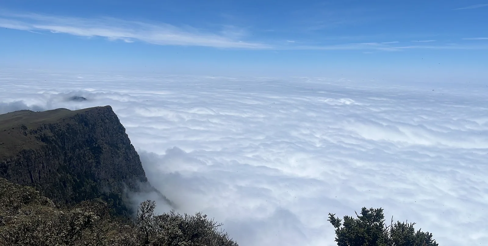 A cliff above a sea of cloud