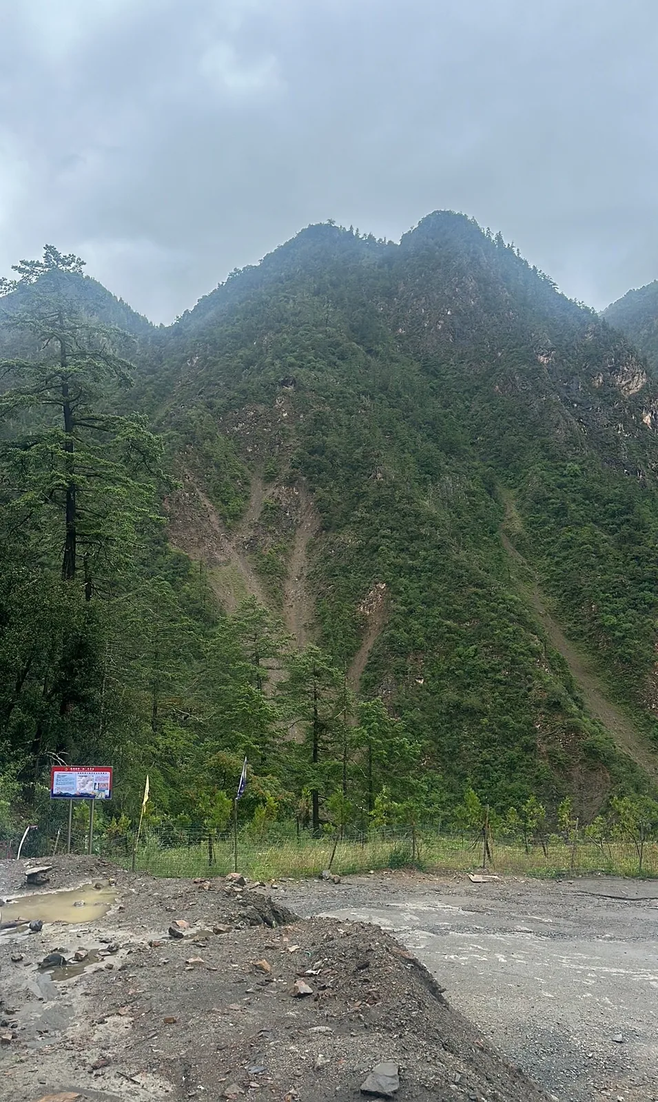 The hillside at the start