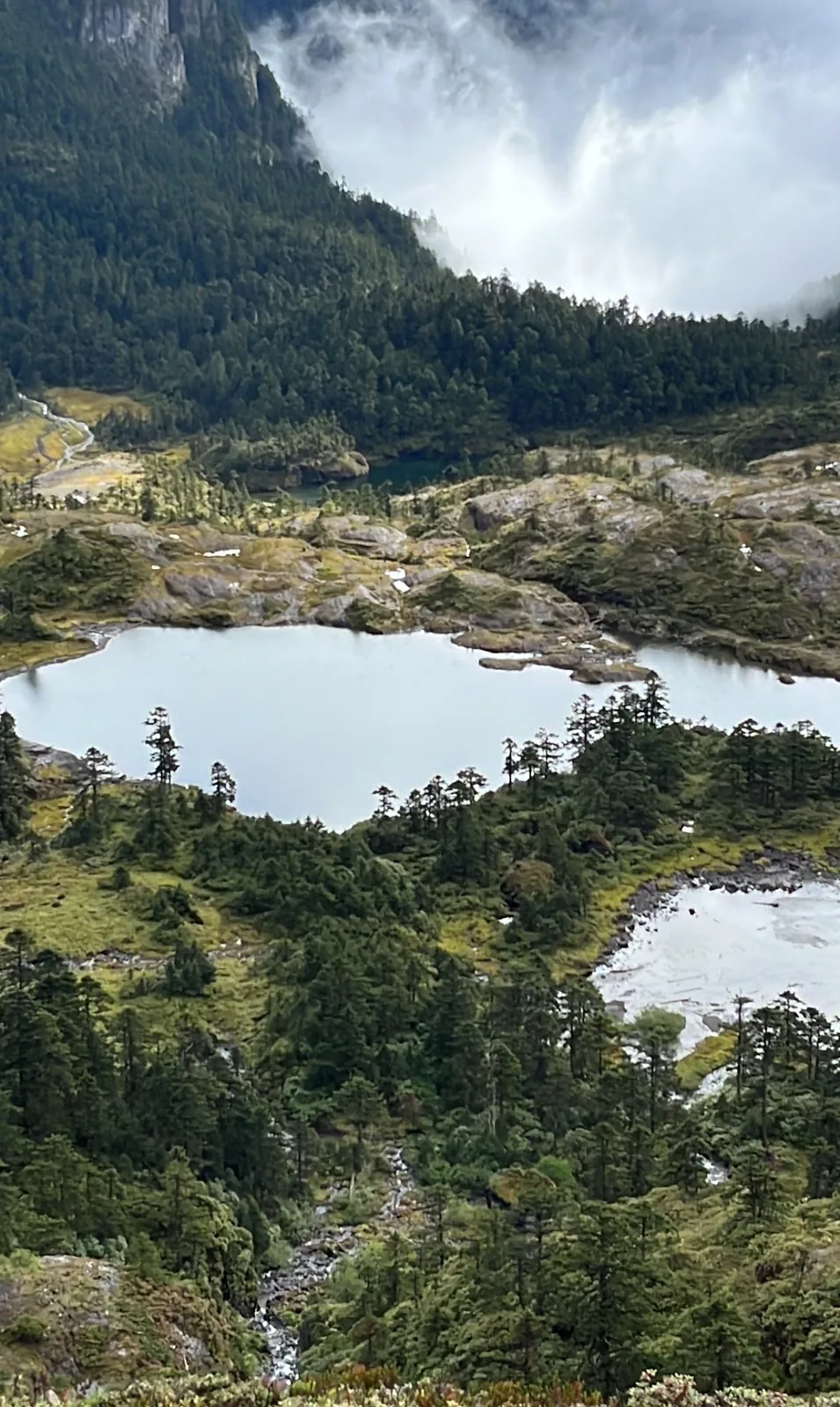 Two lakes in the forest