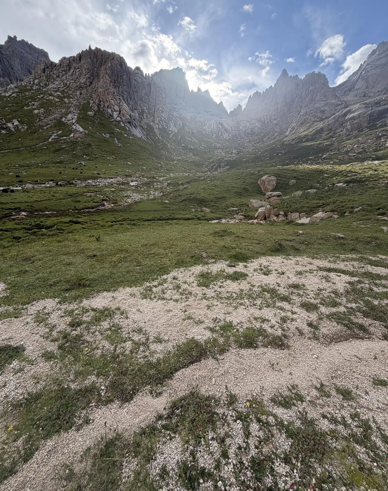 A meadow below rock walls