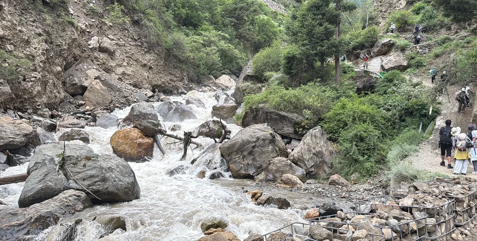 The path beside the stream