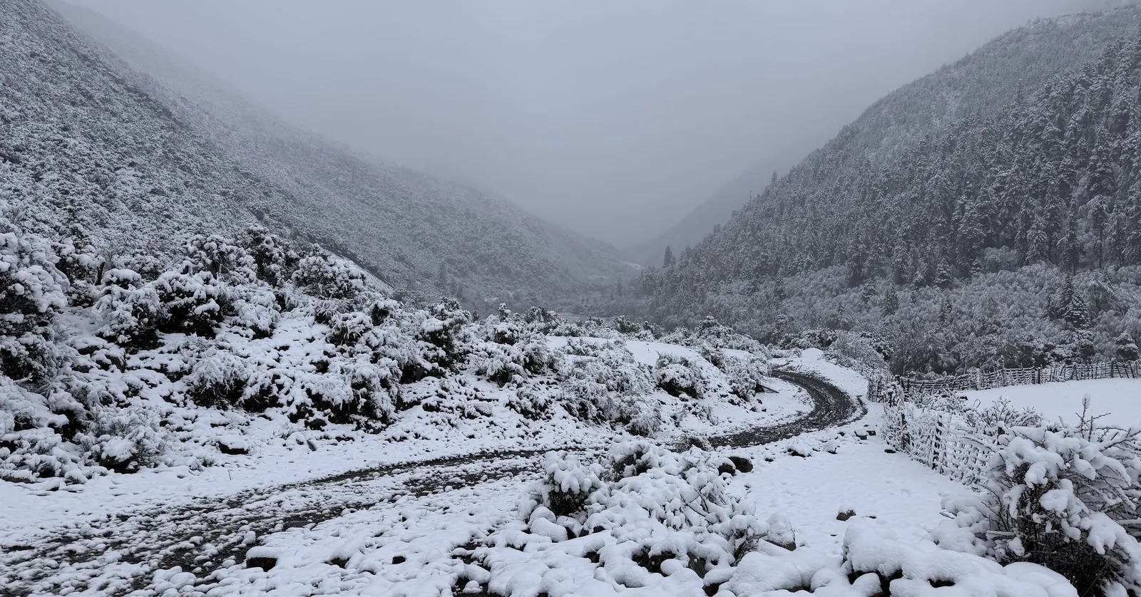A snowy road in the valley